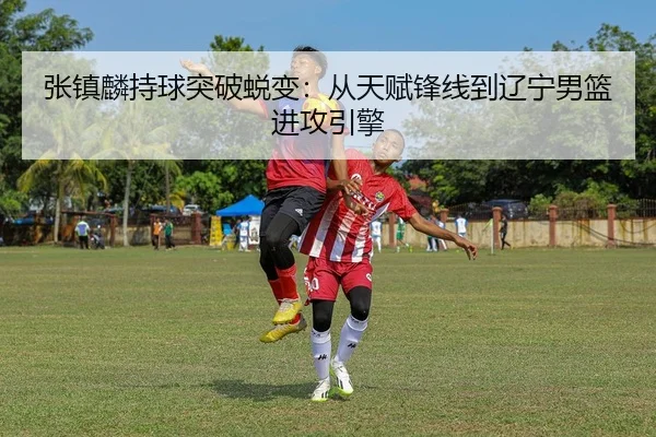 张镇麟持球突破蜕变：从天赋锋线到辽宁男篮进攻引擎